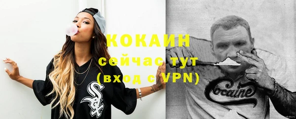 молекула духа Богданович