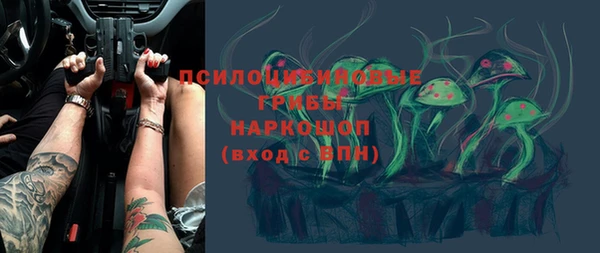 молекула духа Богданович