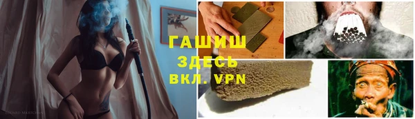 молекула духа Богданович