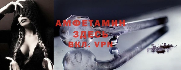 молекула духа Богданович