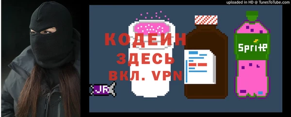 молекула духа Богданович