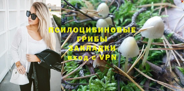 бошки Богородицк