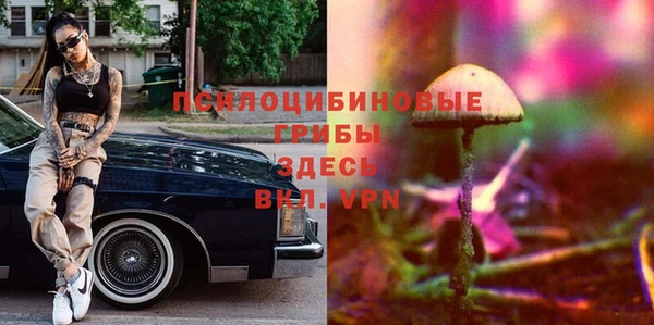 молекула духа Богданович