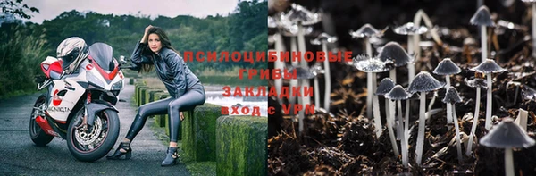 бошки Богородицк