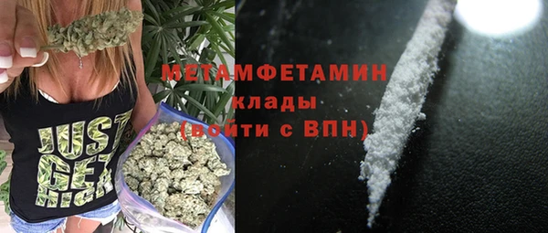 молекула духа Богданович