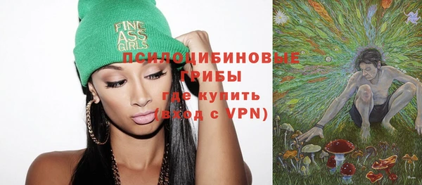 молекула духа Богданович