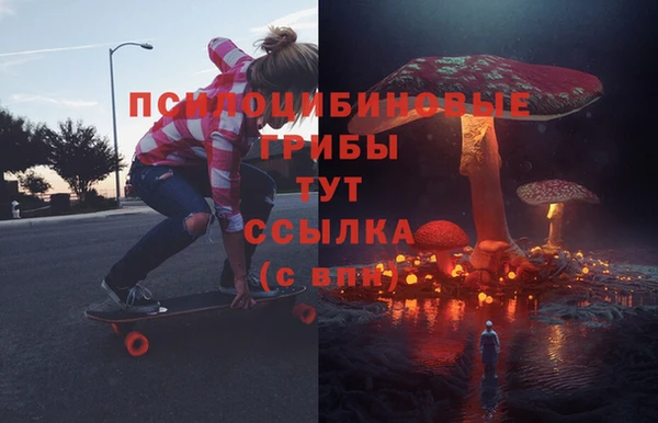 молекула духа Богданович