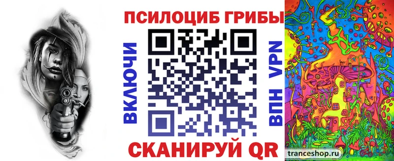 Псилоцибиновые грибы Psilocybe  цена   Волгодонск 